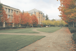 outdoor area on a college campus